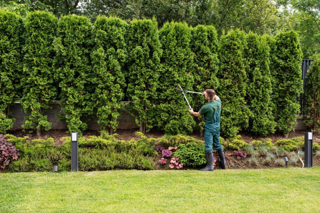 Estate Gardener Agency